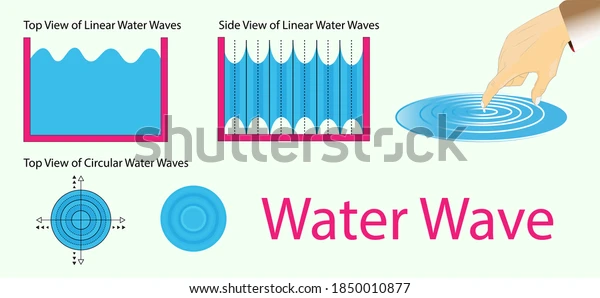 WAVVVES